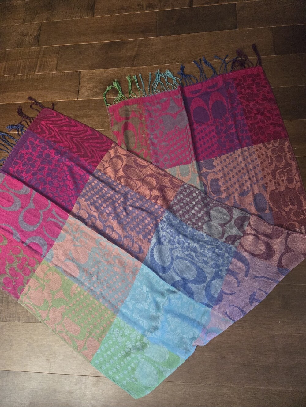 Coach Y2k Pashmina